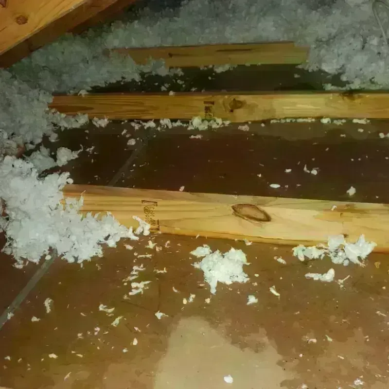 Attic Water Damage in Towns County, GA