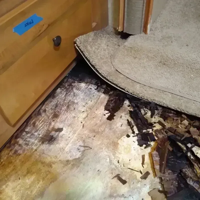 Wood Floor Water Damage in Towns County, GA